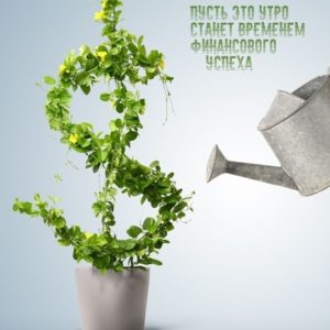 Реальные отзывы о работе наставников, экспертов и спикеров